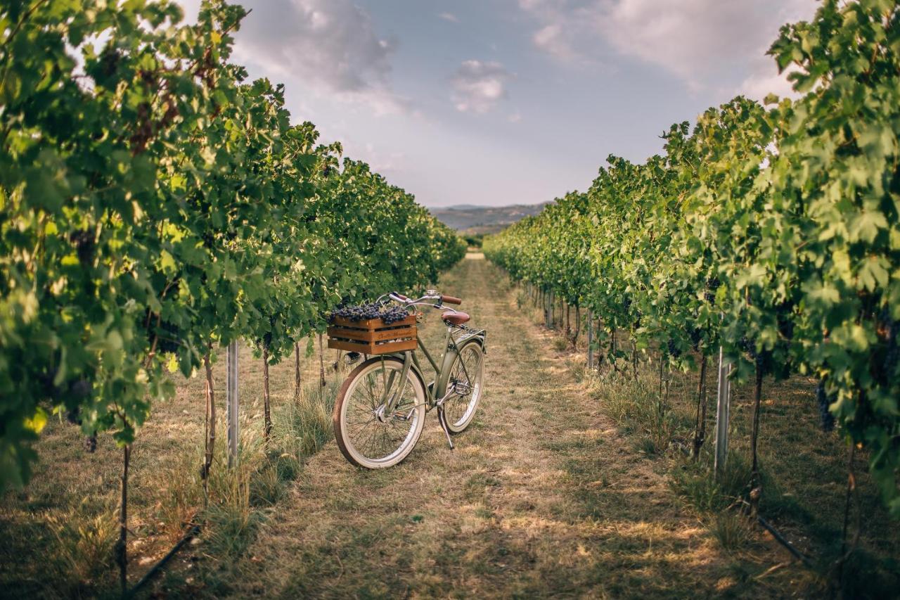 Agriturismo Corte Moranda Werona Zewnętrze zdjęcie
