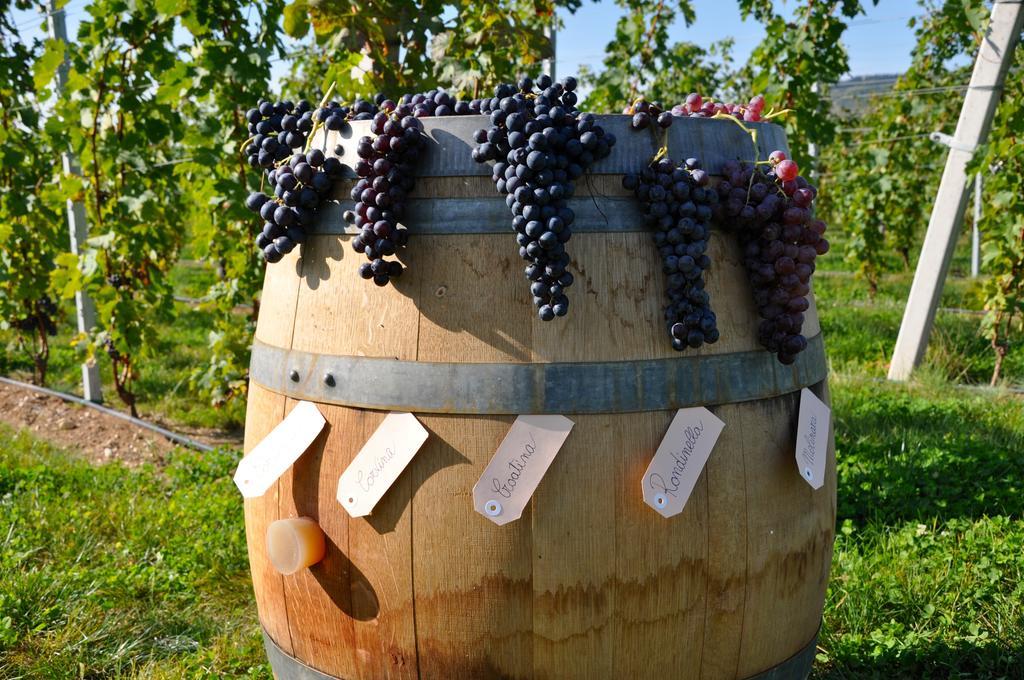 Agriturismo Corte Moranda Werona Zewnętrze zdjęcie