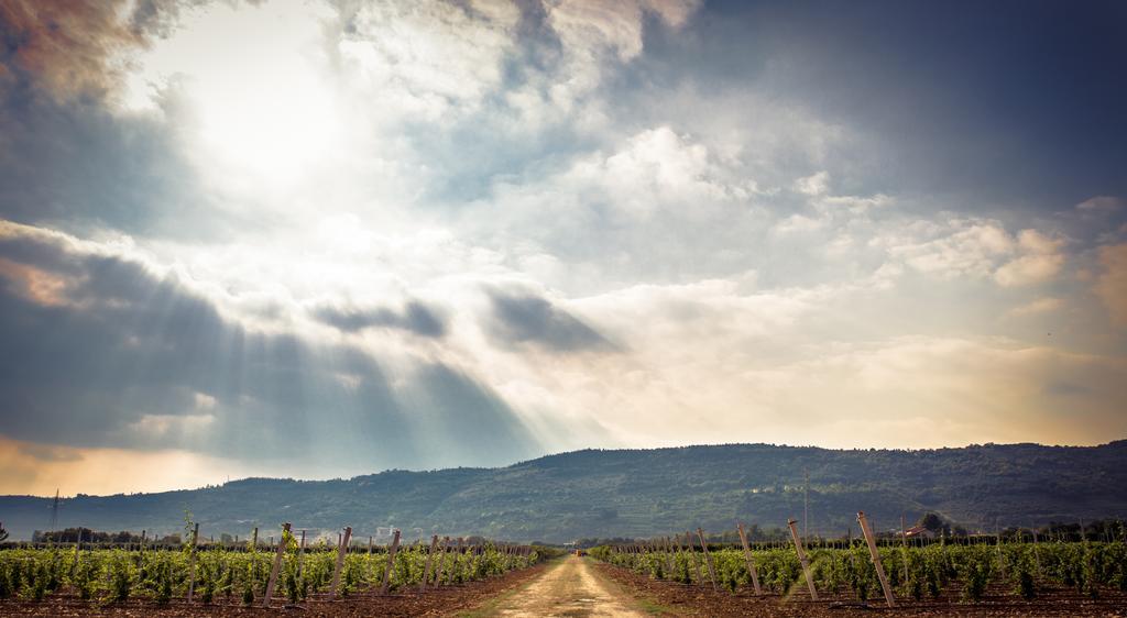 Agriturismo Corte Moranda Werona Zewnętrze zdjęcie